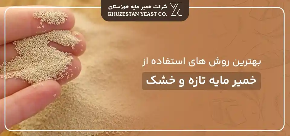 روش های مصرف خمیرمایه